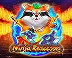 Ninja Raccoon